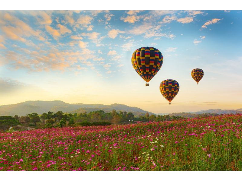 Festival Internacional de Balonismo de Torres: Torres - imagem 9