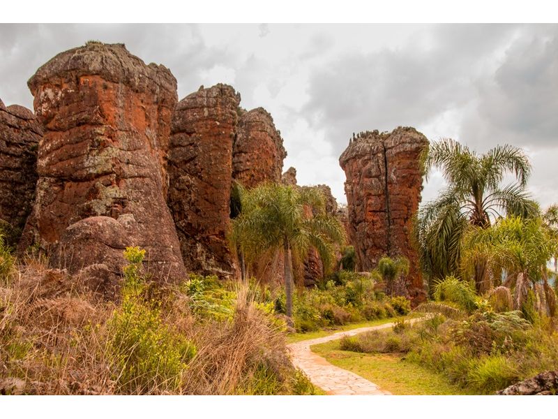 Encantos do Paraná: Curitiba, Trem Serra Mar e Rota Holandesa - imagem 18