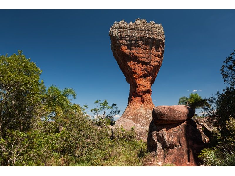 Encantos do Paraná: Curitiba, Trem Serra Mar e Rota Holandesa - imagem 9