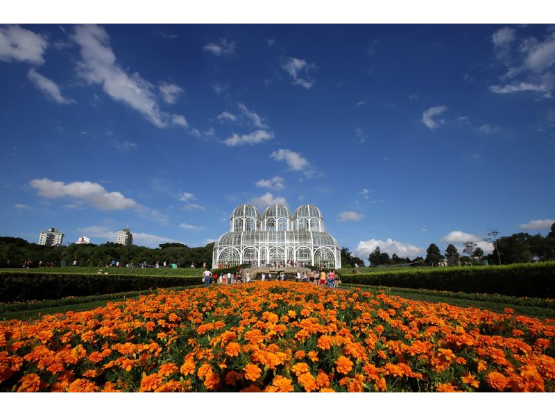 Encantos do Paraná: Curitiba, Trem Serra Mar e Rota Holandesa - imagem 2