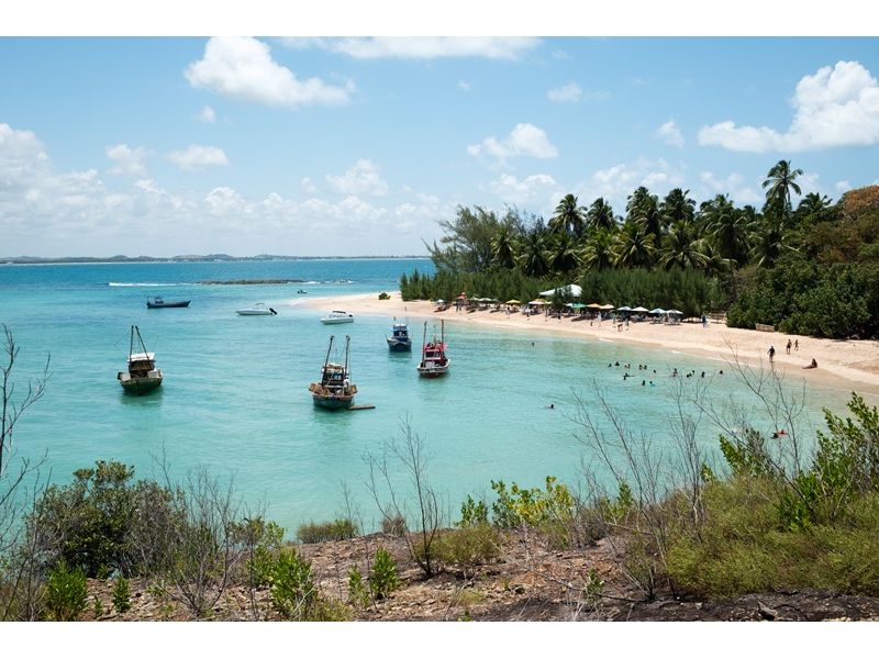 Recife, Olinda e Ilha de Santo Aleixo - imagem 3