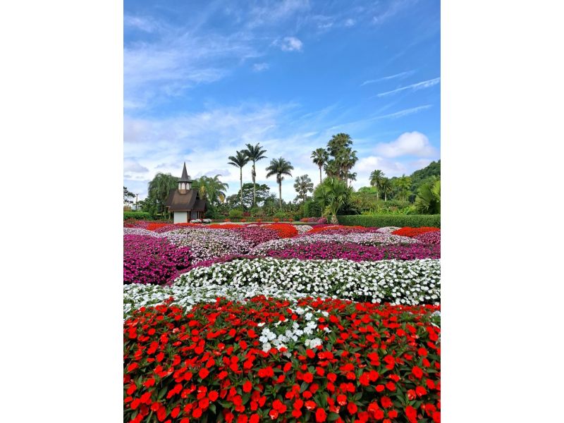 Festa das Flores de Joinville, Barco Príncipe e Trem Serra do Mar Catarinense