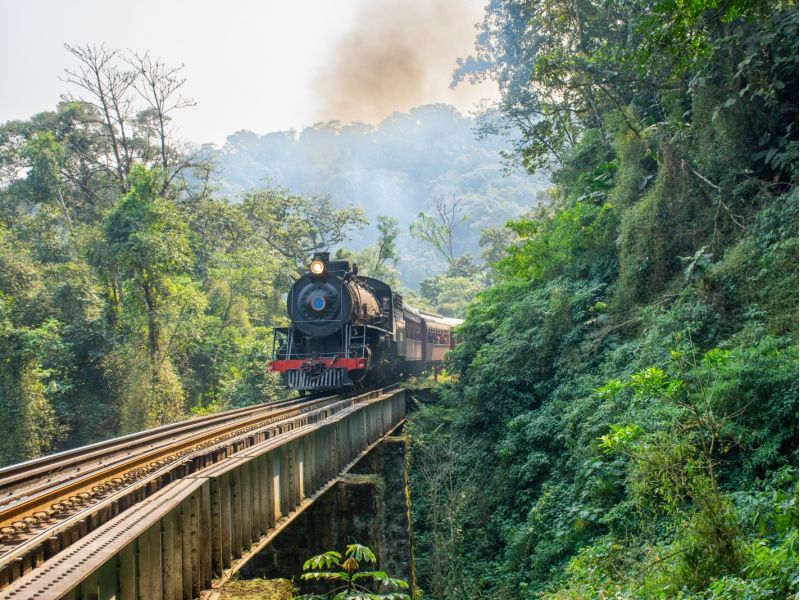 Festa das Flores de Joinville, Barco Príncipe e Trem Serra do Mar Catarinense - imagem 2