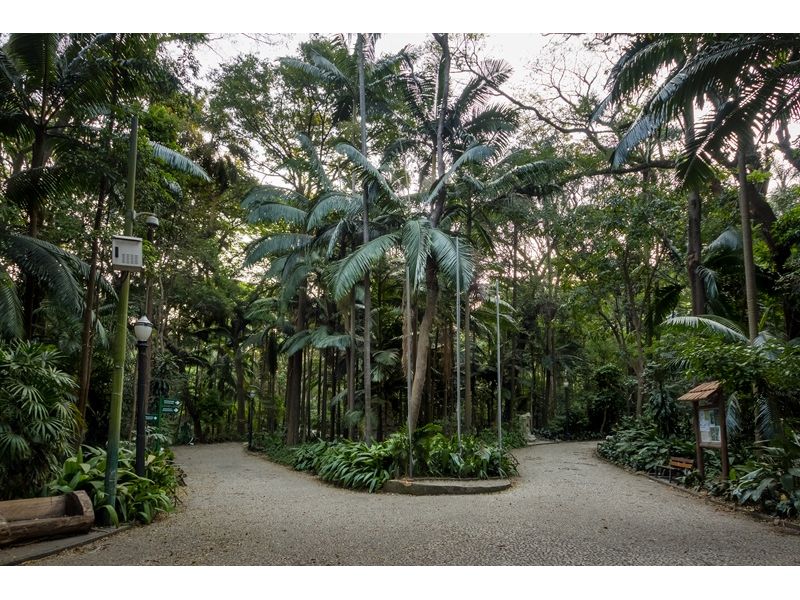 São Paulo Cultural e Histórica - imagem 14