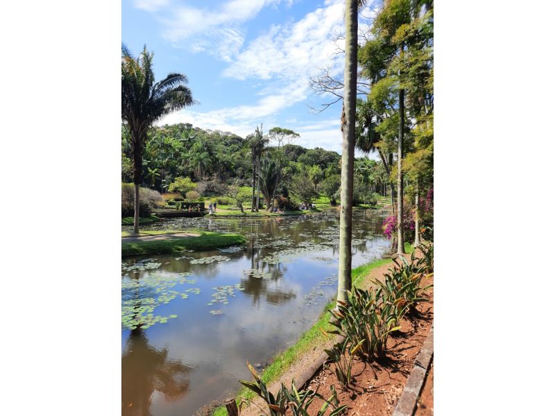 São Paulo Cultural e Histórica - imagem 6