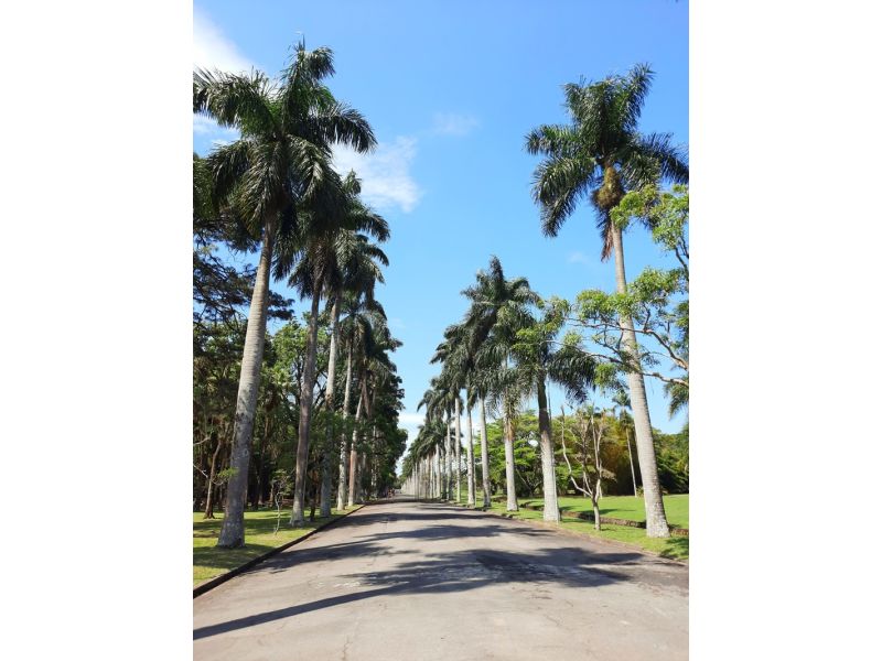 São Paulo Cultural e Histórica - imagem 3