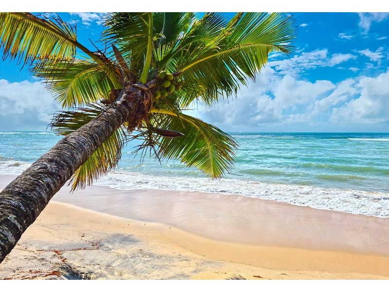 Porto Seguro, Arraial d’Ajuda e Trancoso - imagem 14