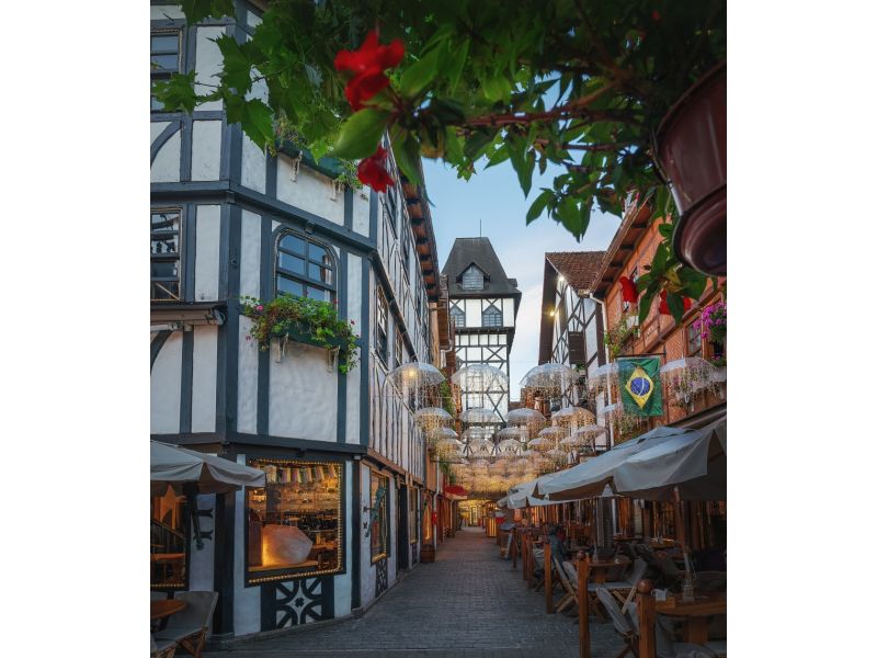 Expoflora, Holambra e Campos do Jordão - imagem 15