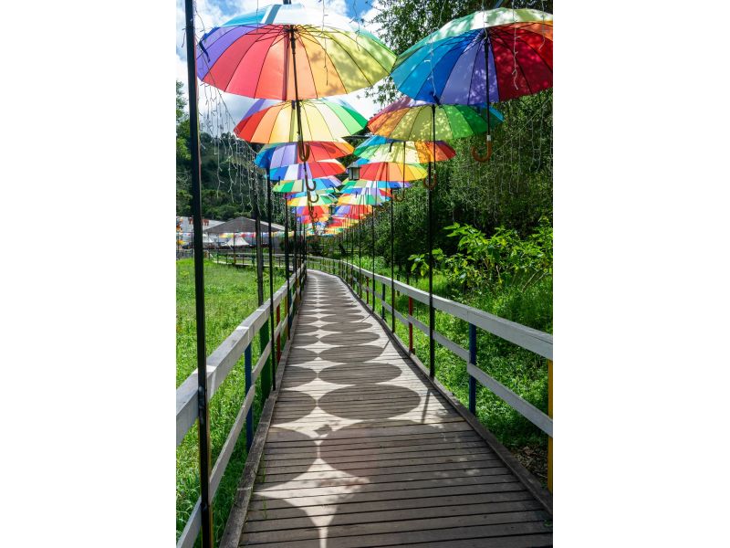 Expoflora, Holambra e Campos do Jordão - imagem 10