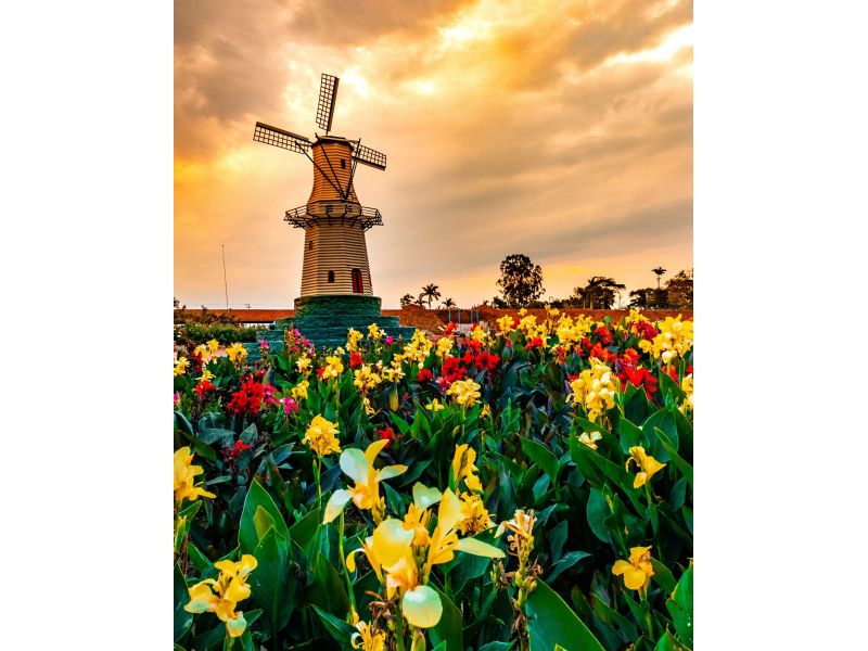 Expoflora, Holambra e Campos do Jordão - imagem 20