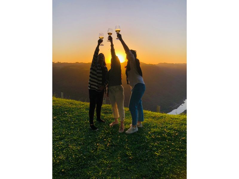 Vinhedos e Piquenique: Nova Pádua e Flores da Cunha - imagem 13