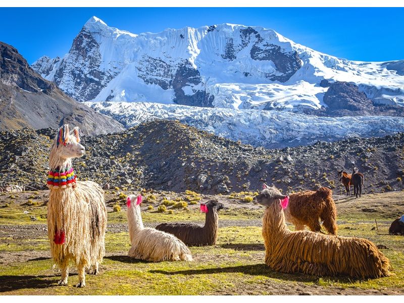 Encantos do Peru: Lima, Cusco, Huacachina e Machu Picchu