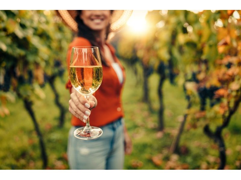 Vinhedos e Piquenique: Nova Pádua e Flores da Cunha - imagem 5