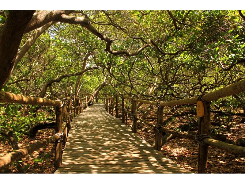 Natal, Pipa, Praia do Amor e João Pessoa - imagem 6