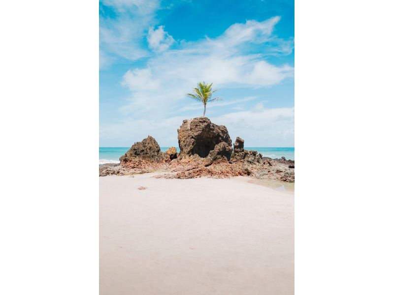  João Pessoa - imagem 21