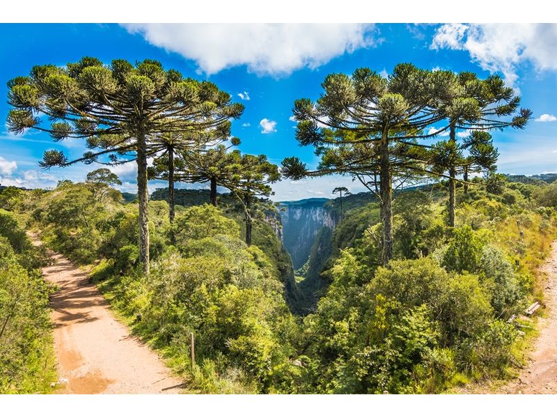 Cânions de Cambará do Sul – Itaimbezinho e Fortaleza - imagem 9