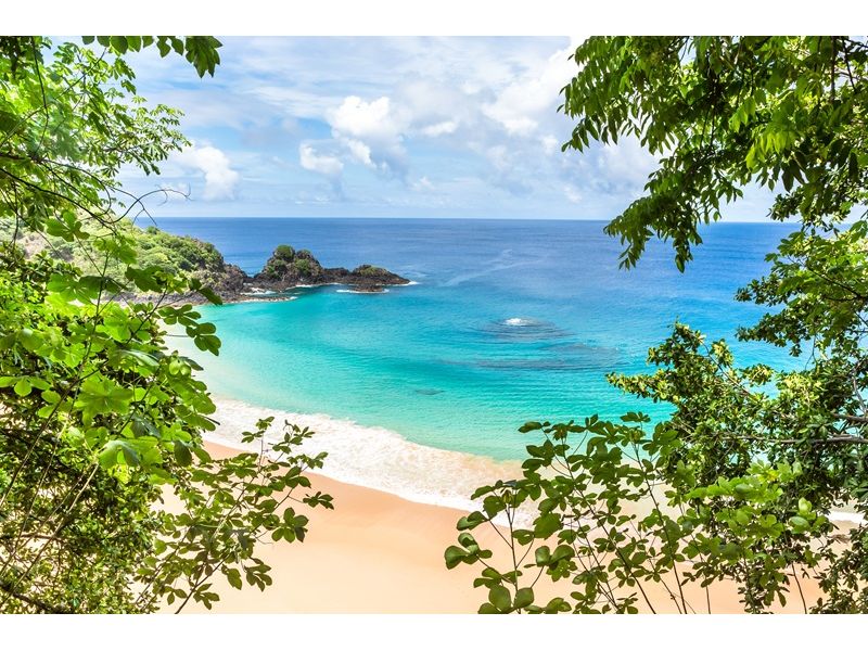 Fernando de Noronha: Um Paraíso no Atlântico - imagem 7