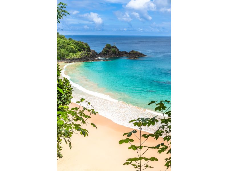 Fernando de Noronha: Um Paraíso no Atlântico - imagem 20