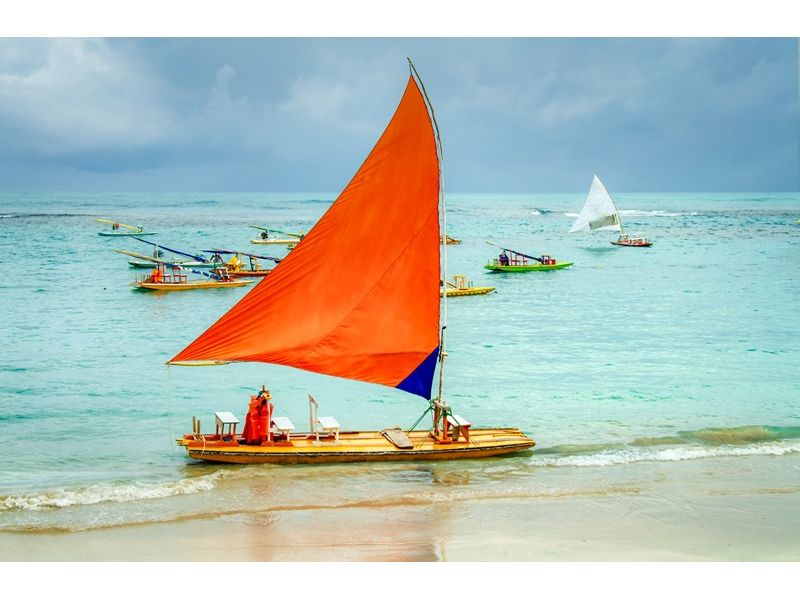Porto de Galinhas, Ilha de Santo Aleixo, Praia dos Carneiros, Recife e Olinda - imagem 21