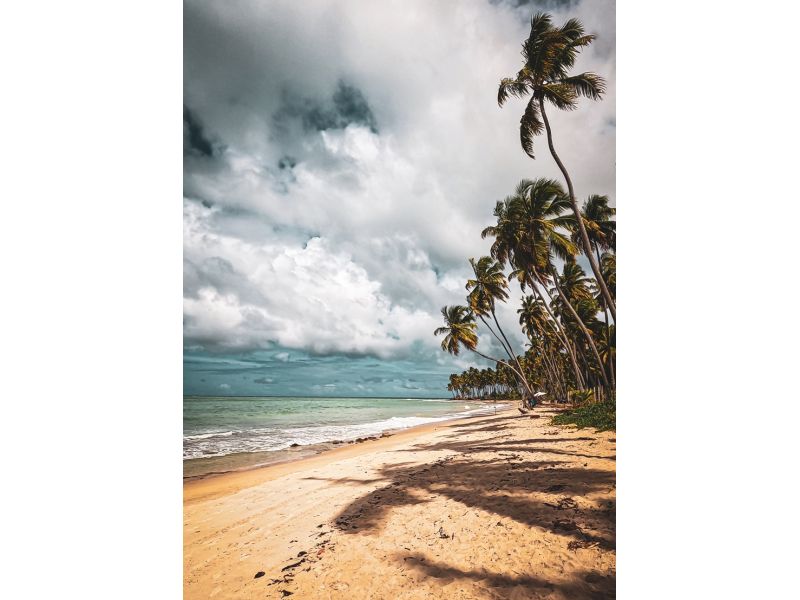 Porto de Galinhas, Ilha de Santo Aleixo, Praia dos Carneiros, Recife e Olinda - imagem 26