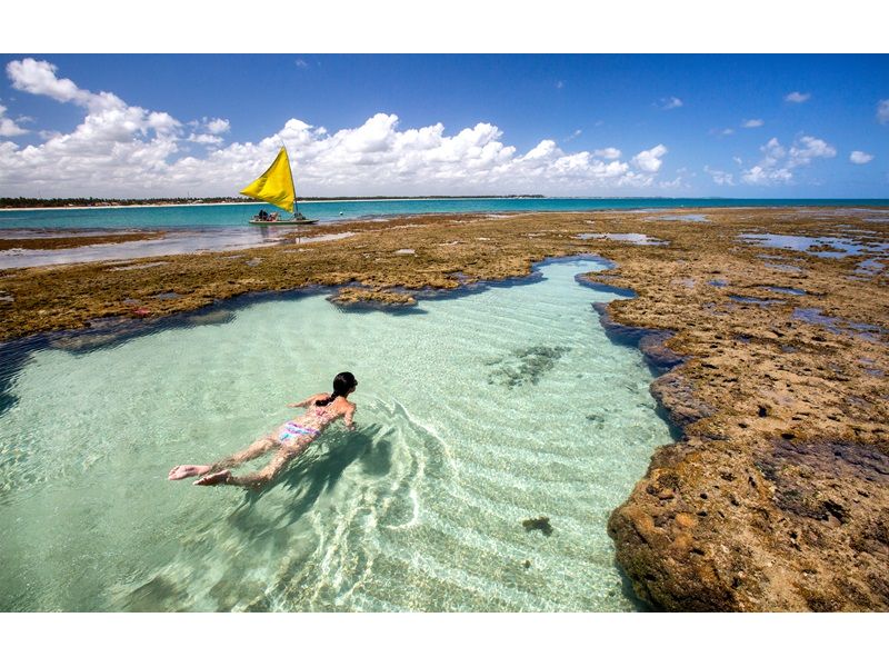 Porto de Galinhas, Ilha de Santo Aleixo, Praia dos Carneiros, Recife e Olinda - imagem 2