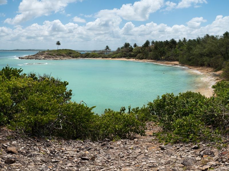 Porto de Galinhas, Ilha de Santo Aleixo, Praia dos Carneiros, Recife e Olinda - imagem 23