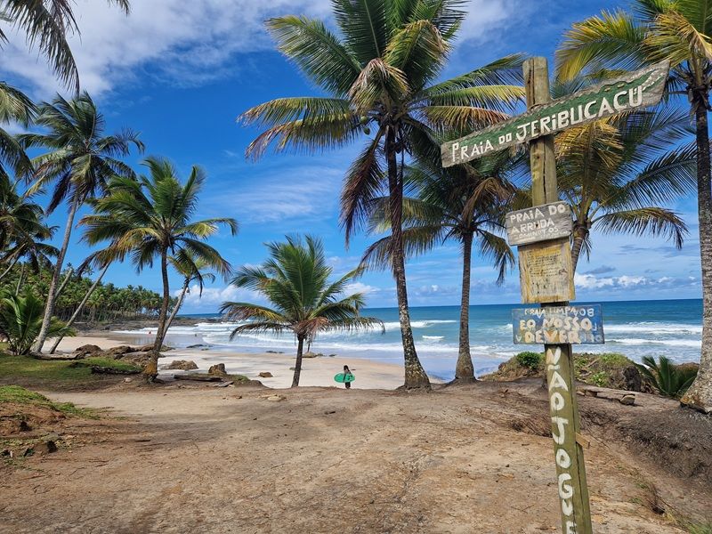 Ilhéus e Itacaré: Encantos da Costa do Cacau - imagem 12