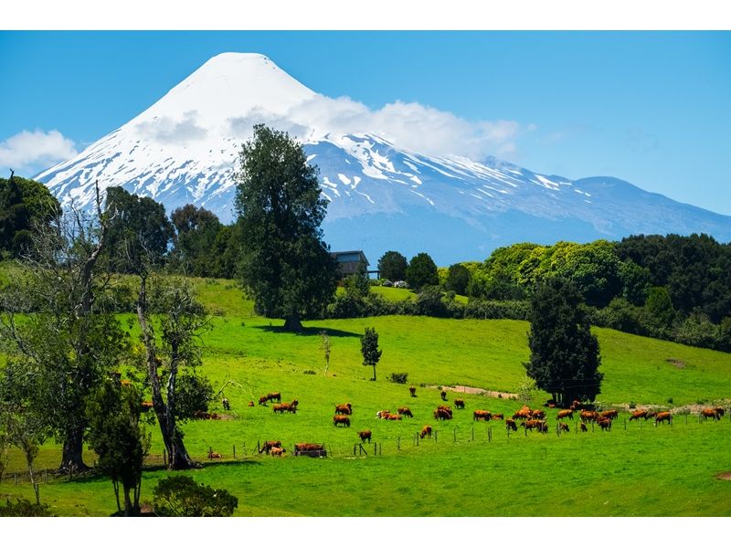 Lagos Andinos do Sul do Chile: Entre Vulcões e Lagos Cristalinos - imagem 9