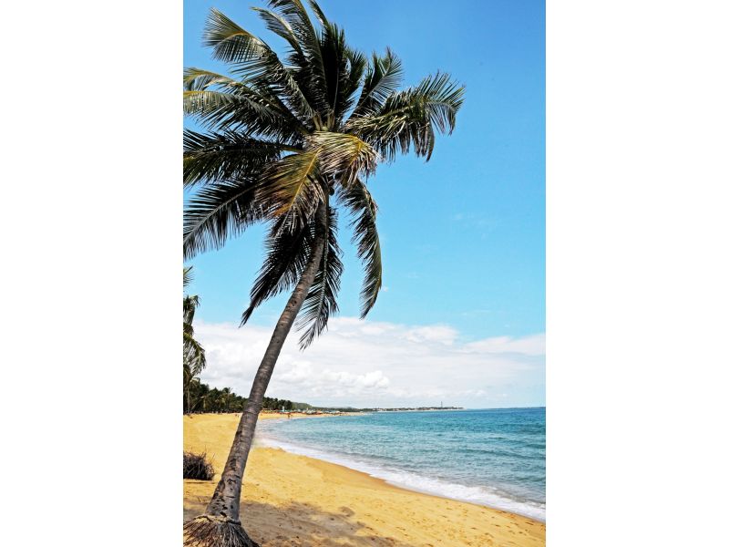 Maceió e Maragogi: Caribe Brasileiro - imagem 23