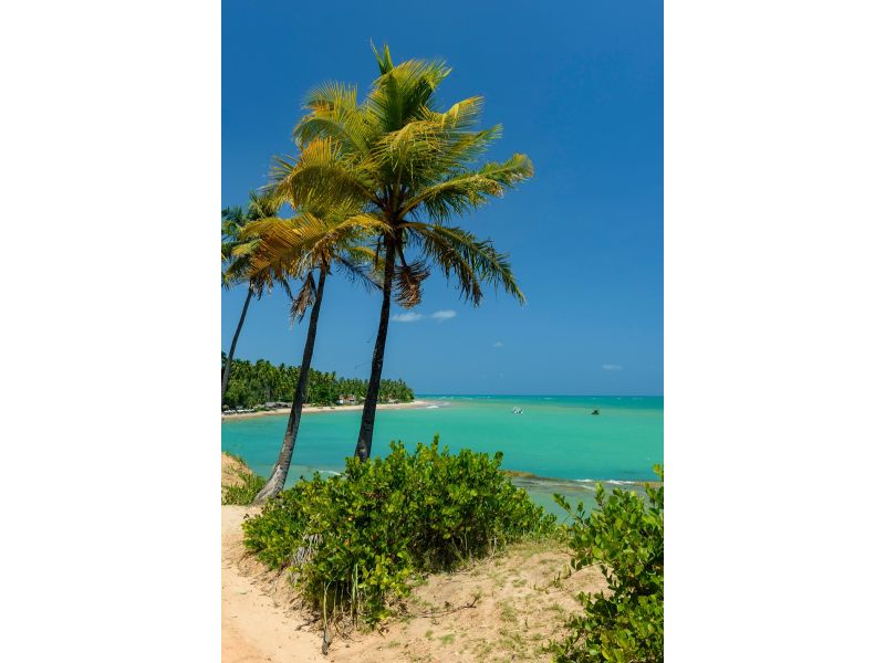 Maceió e Maragogi: Caribe Brasileiro - imagem 19