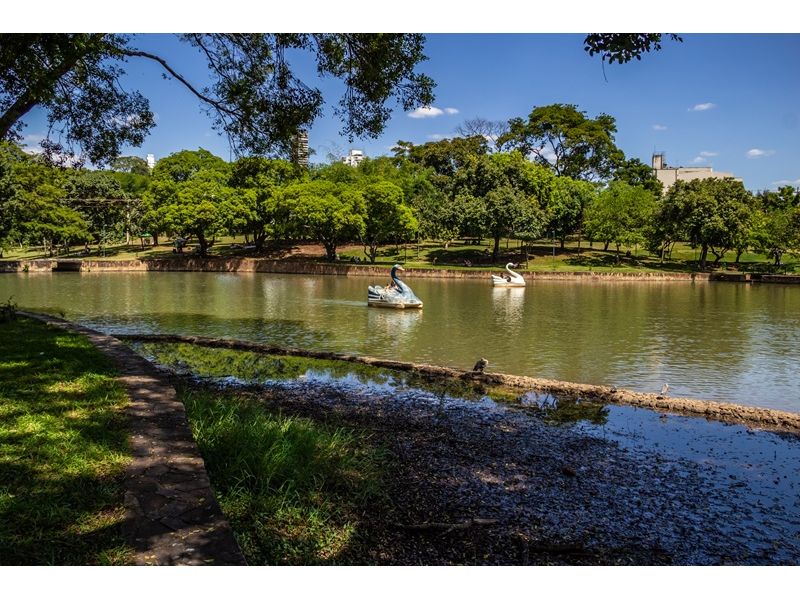 Goiás Histórico e Sertanejo – Sabores e Tradições | Goiânia, Trindade, Pirenópolis e Cidade de Goiás - imagem 27