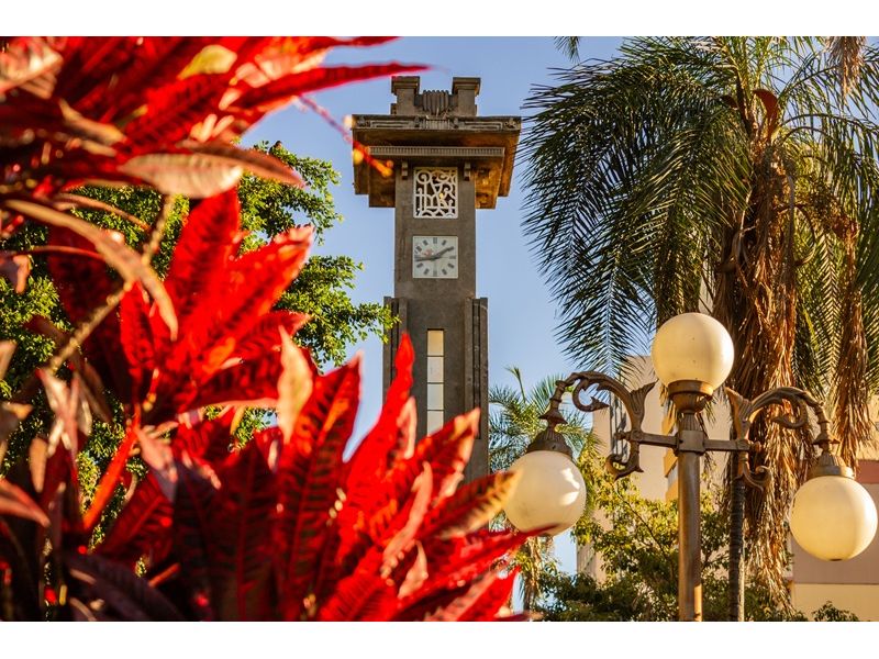 Goiás Histórico e Sertanejo – Sabores e Tradições | Goiânia, Trindade, Pirenópolis e Cidade de Goiás - imagem 2