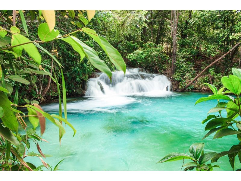 Jalapão e Palmas: Encantos do Tocantins - imagem 8