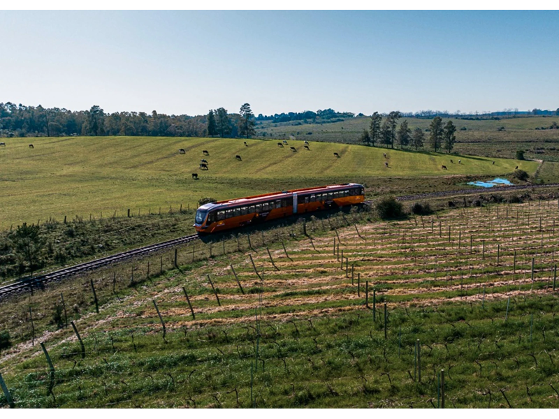 Campanha Gaúcha, Trem do Pampa e Rivera - imagem 11