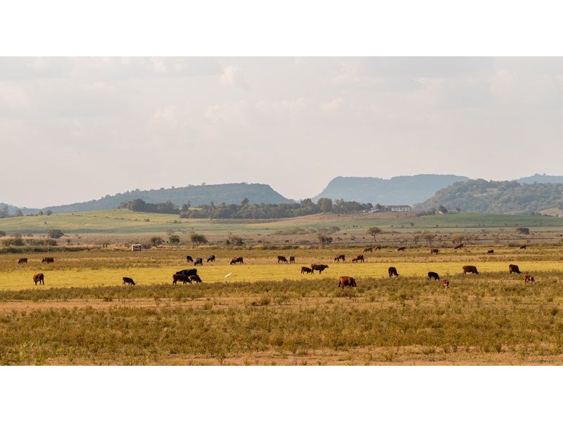 Campanha Gaúcha, Trem do Pampa e Rivera - imagem 15