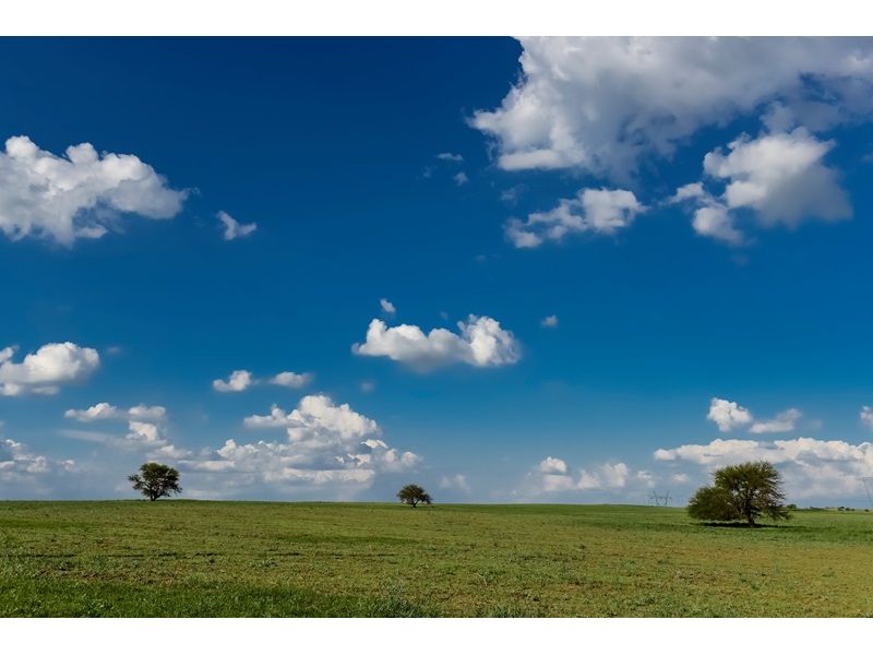 Campanha Gaúcha, Trem do Pampa e Rivera - imagem 20