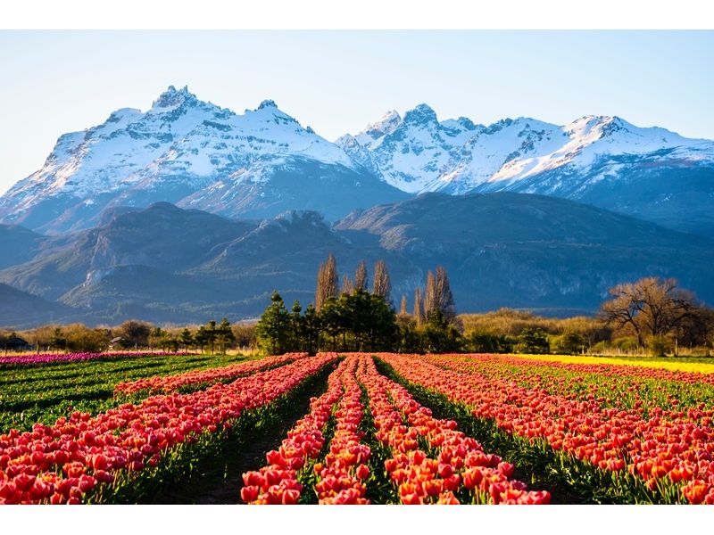 Patagônia Austral: Ushuaia, El Calafate e Torres del Paine - imagem 15