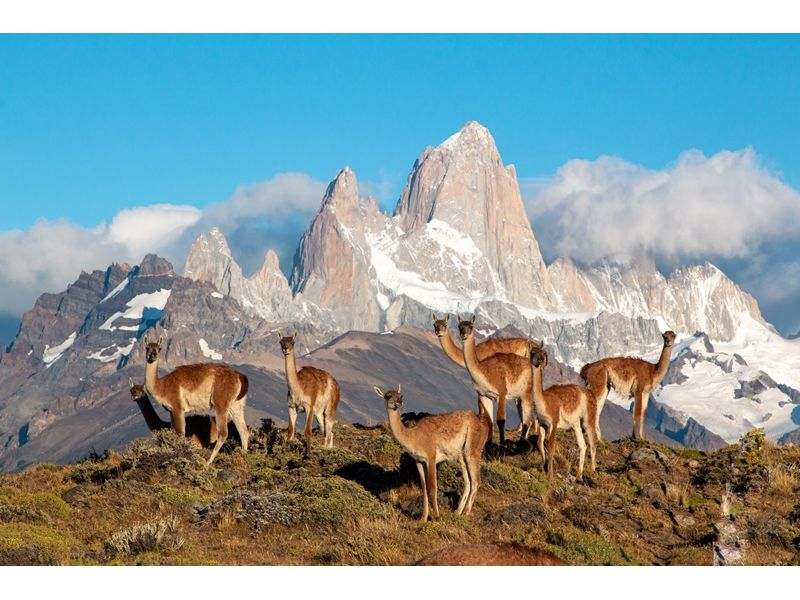 Patagônia Austral: Ushuaia, El Calafate e Torres del Paine - imagem 18