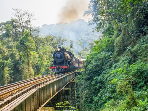 Caminho dos Príncipes: Barco Príncipe e Trem Serra do Mar Catarinense - Rio Negrinho, Corupá e Joinville
