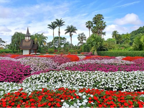 Festa das Flores de Joinville, Barco Príncipe e Trem Serra do Mar Catarinense